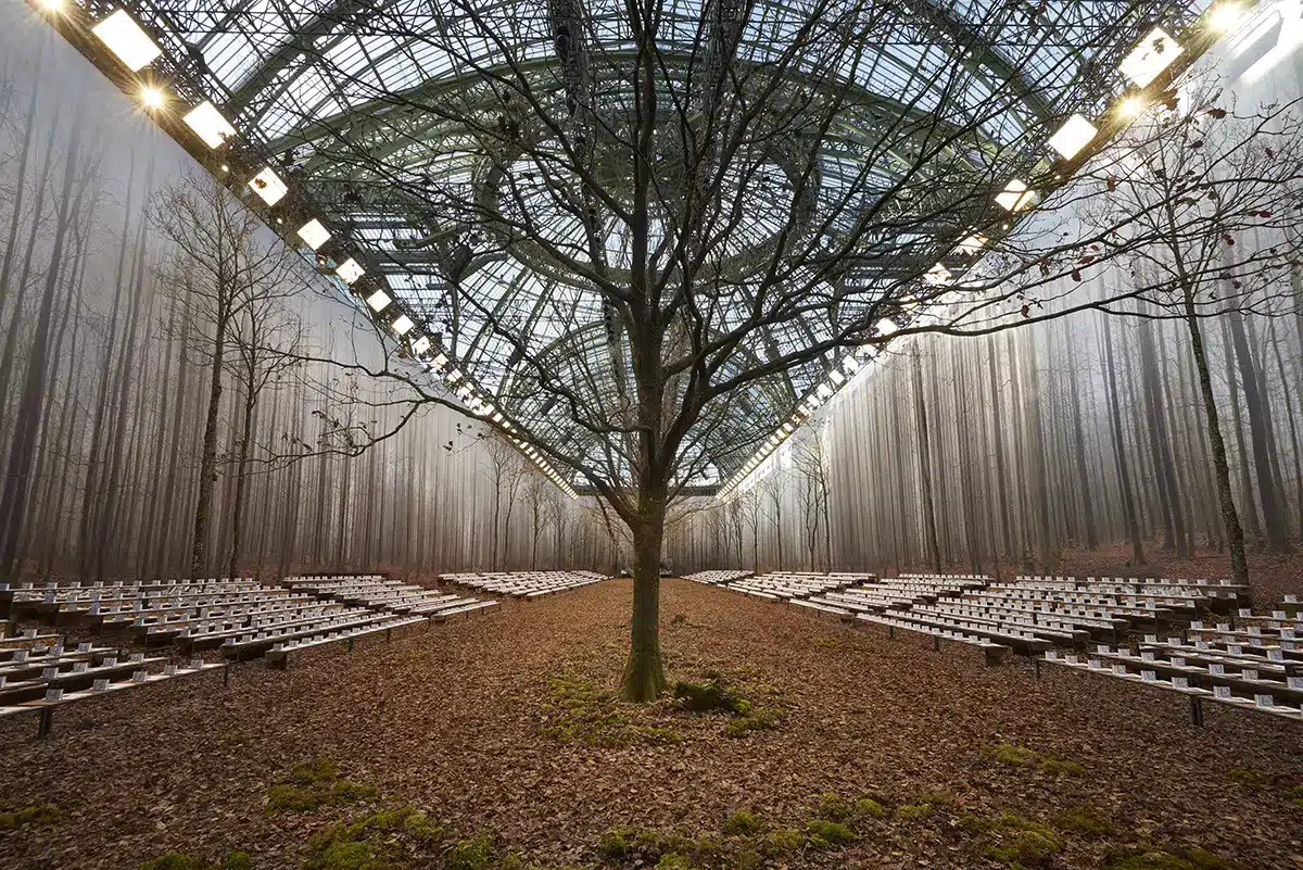 Un décor spectaculaire transformant le Grand Palais en forêt d’automne : tapis de feuilles mortes, mousses au sol, rangées de bancs en bois et arbres nus recréent un sous-bois enveloppé de brume. Au centre, un grand arbre majestueux se dresse sous la verrière, fusionnant nature et architecture pour un défilé immersif.